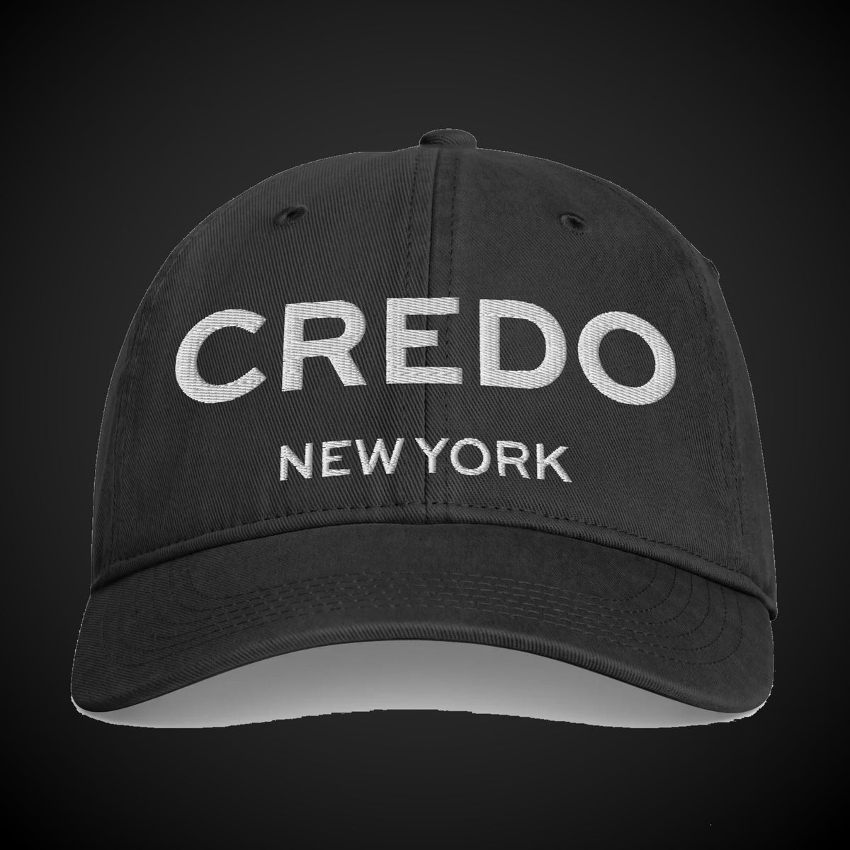 CREDO NEW YORK 3D PUFF WASHED CAP – BLACK