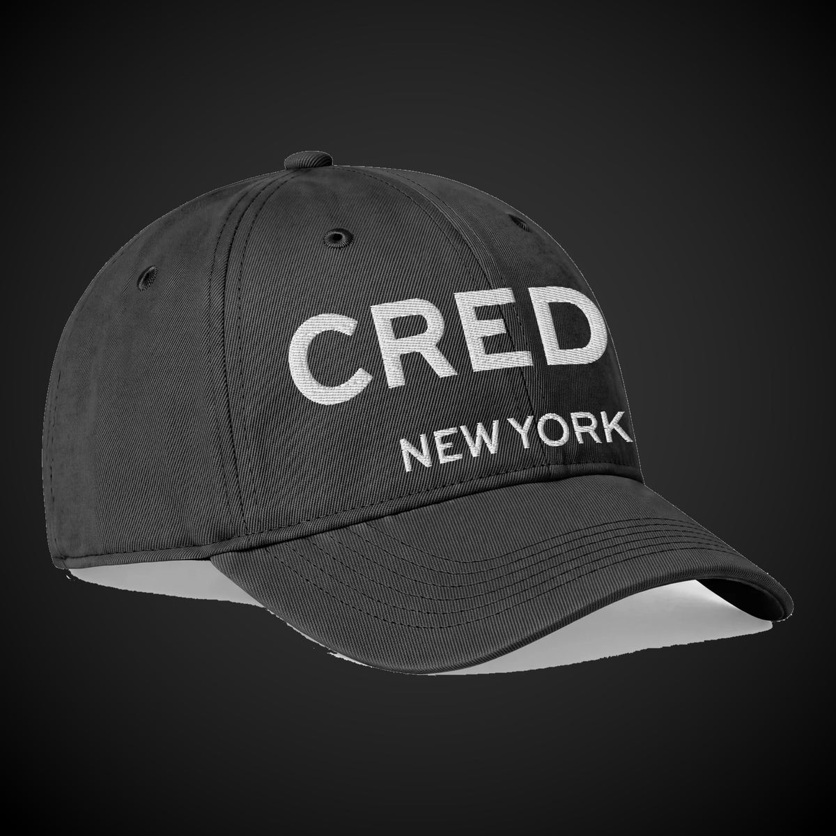 CREDO NEW YORK 3D PUFF WASHED CAP – BLACK