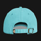 CREDO BMX WORDMARK WASHED CAP – BLACK & CHALKY MINT